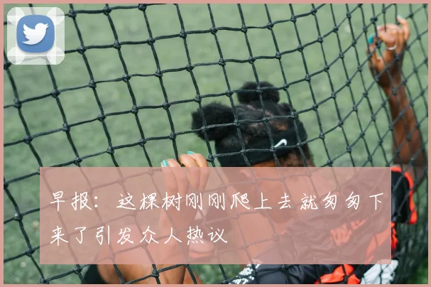 早报：这棵树刚刚爬上去就匆匆下来了引发众人热议